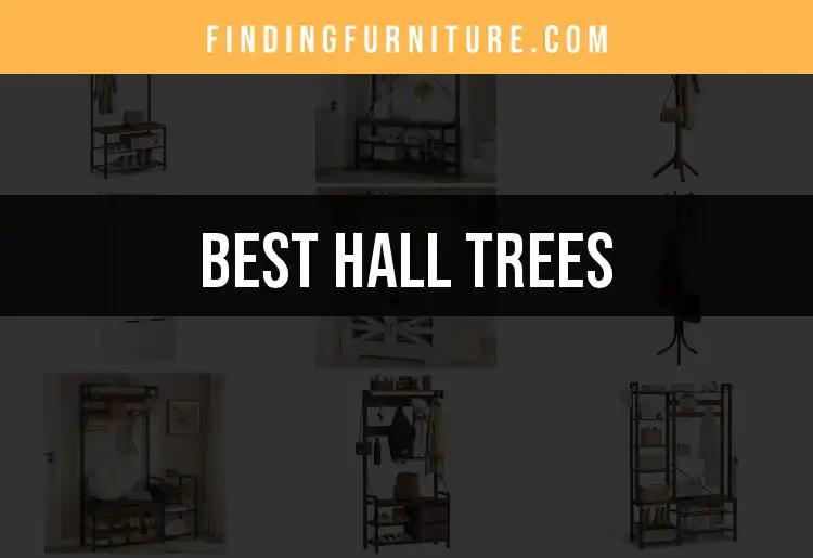 12 Stunning Hall Trees to Elevate Your Entryway Style